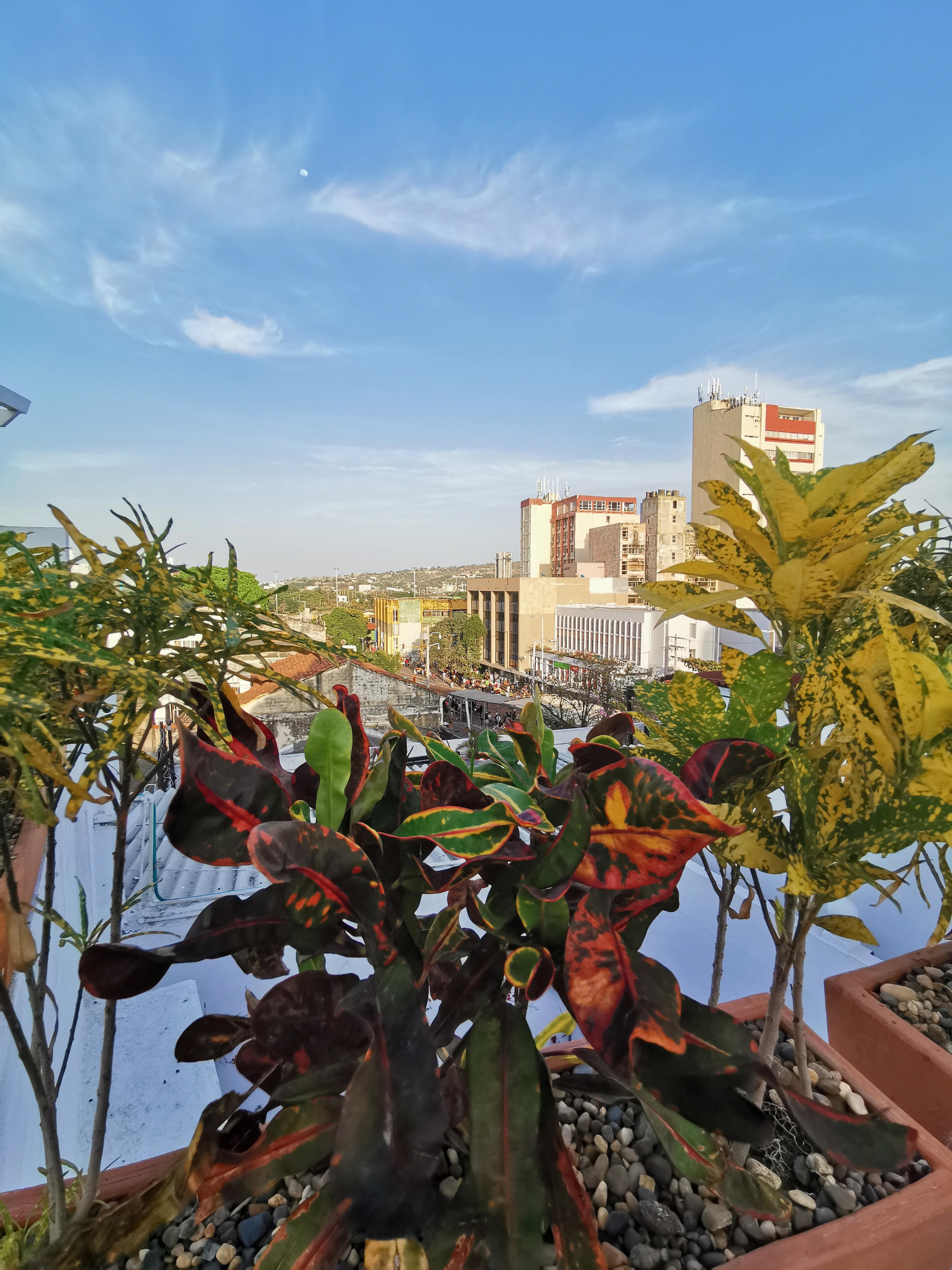 Luka Cartagena Hotel Bagian luar foto